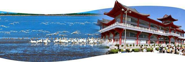 “黄河入海” “仙境海岸”暨环山东旅游推介会在青岛市举行
